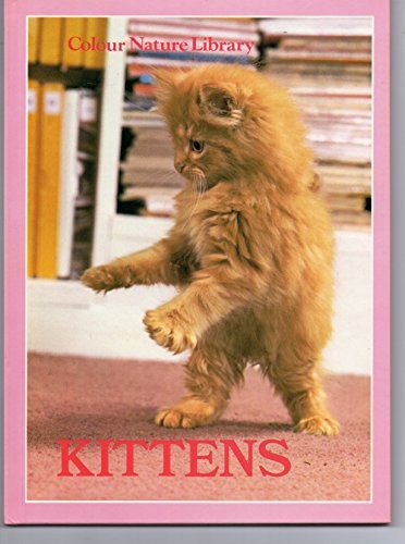Kittens 3 - kittens,