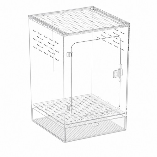 Terrarium tall arboreal - terrarium,