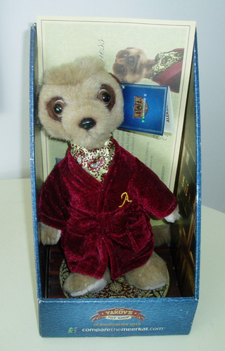 Boxed aleksandr meerkat - meerkat, /