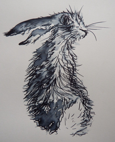 Hare drawing black pen ink - drawing,