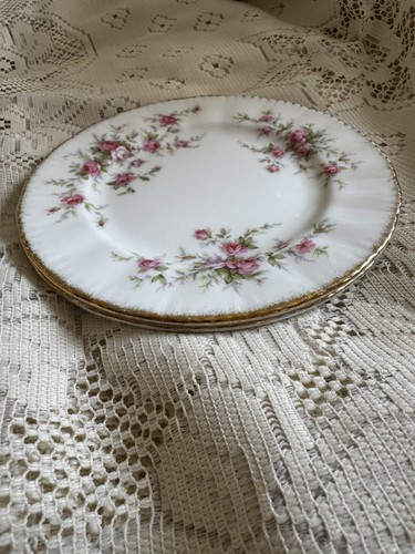 Paragon victoriana rose side - paragon,