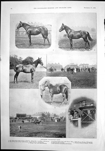 Old print doncaster bloodstock - old,