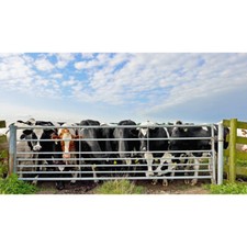 7 Bar Galvanised Metal Field