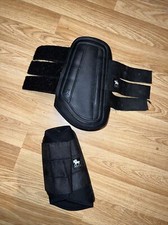 Legacy Pony Hind Brushing