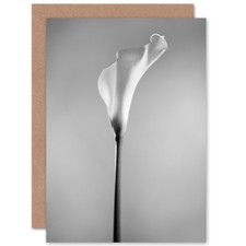 Flower Black And White Calla Lily Card With Envelope