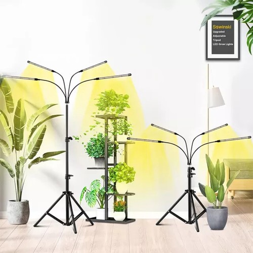 Grow light with - grow,