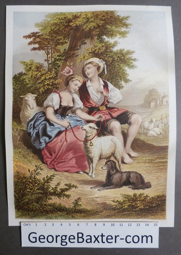 Large baxter print kronheim - large,