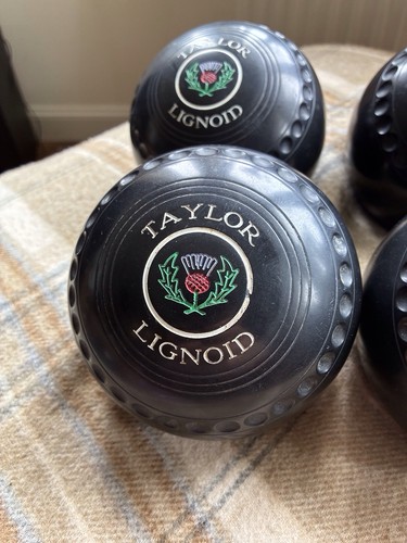 Taylor lignoid size 3h - size,