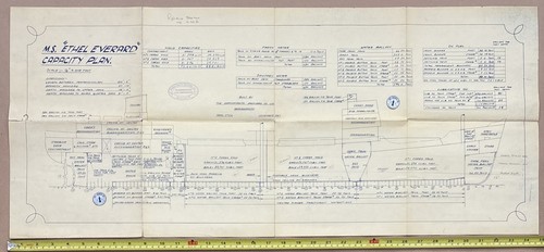 Ethel everard grangemouth - ethel,