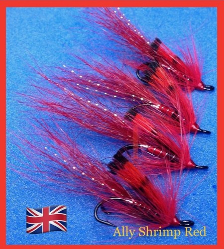Ally shrimp salmon sea - ally,