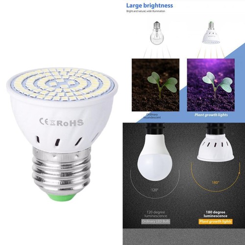 Led plant grow - plant, bulbs