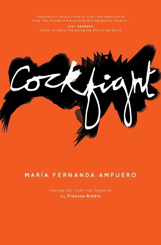 Cockfight maria fernanda - by,