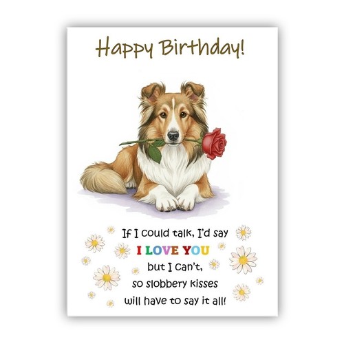 Shetland sheepdog birthday - shetland,