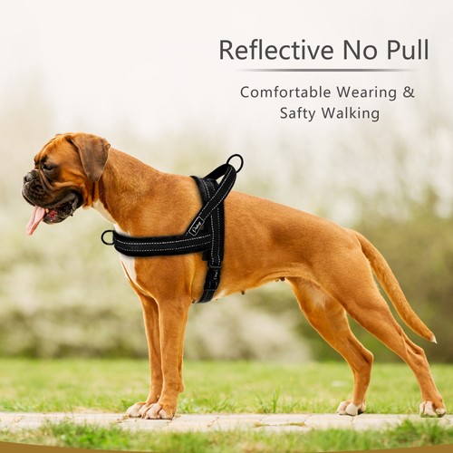 Pull dog harness reflective - pull,