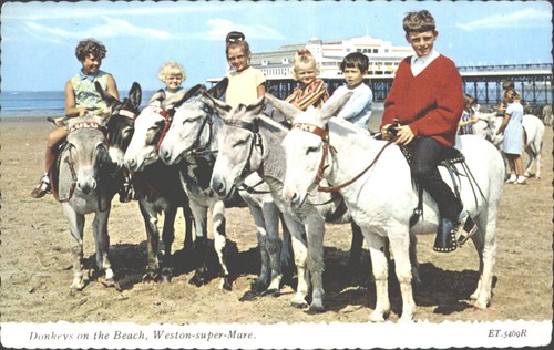 Weston super mare donkeys - weston-super-mare,