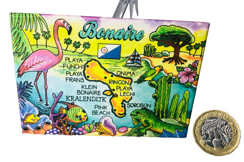 Fridge magnet bonaire - magnet,
