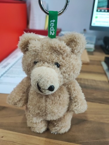 Ted keychain teddy bear pop - ted,
