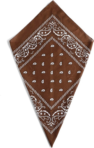 Paisley bandana head scarf - paisley,