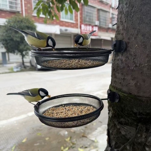 Wall mounted outdoor bird - outdoor,