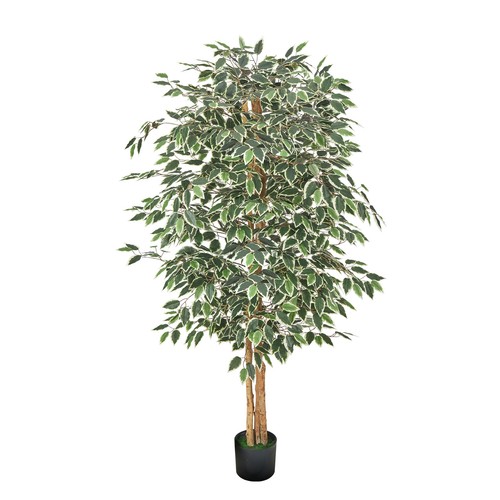 Uimoso 6ft artificial - 6ft, ficus