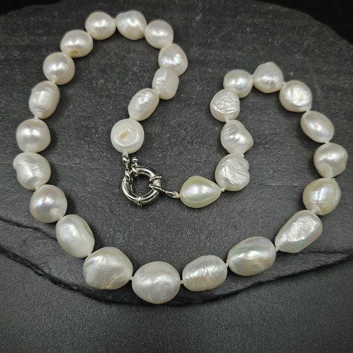 Large real white freshwater - white,