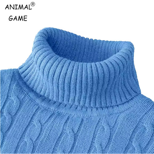 Men turtleneck sweater - turtleneck,