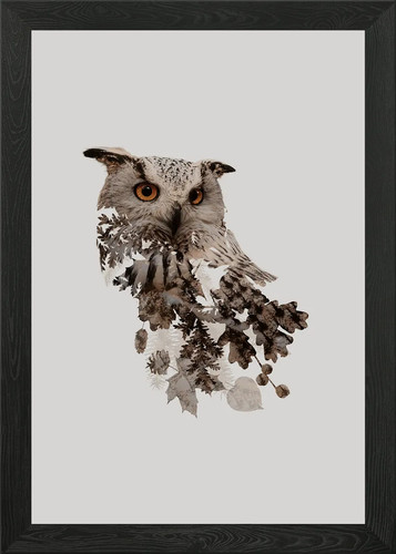 Botanical owl framed wall art - owl,