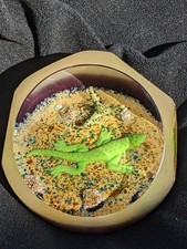 William Manson Snr Caithness