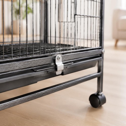 Large parrot aviary - parrot,