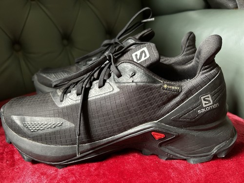 Salomon alphacross blast gtx - salomon,