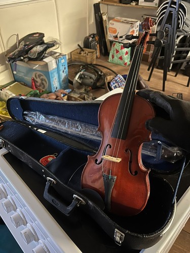 Violin