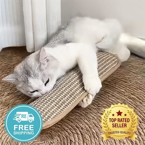 Cat toy game pillow - pillow, &