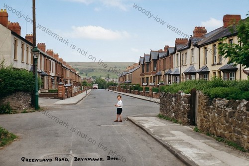 Col2262 wales early view - -,