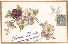 Fantasy CPA, Happy New Year