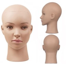 Display Head Model Bald