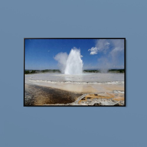 Diane renkin great fountain - great,