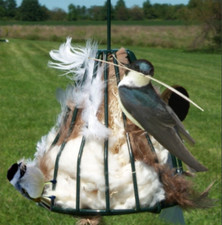 Eco Friendly Bird Nesting