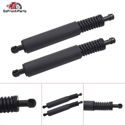 Boot trunk tailgate gas struts - tailgate,