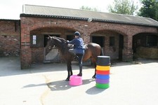 Round Horse Mounting Block