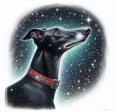 Greyhound Christmas Card for Dog Lovers