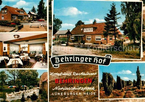 Behringen bispingen behringer - behringen,