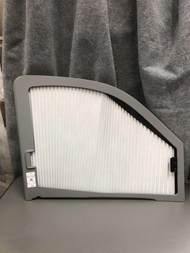 Remis blinds man - remis,