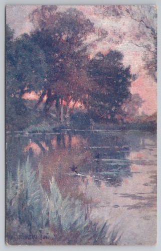 River landscape trees - river,