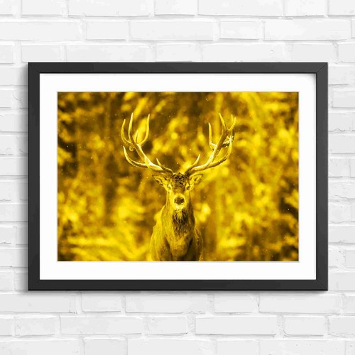 Majestic red stag - red,