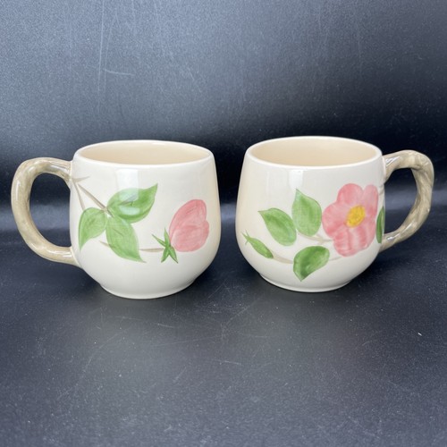 Franciscan desert rose - franciscan,