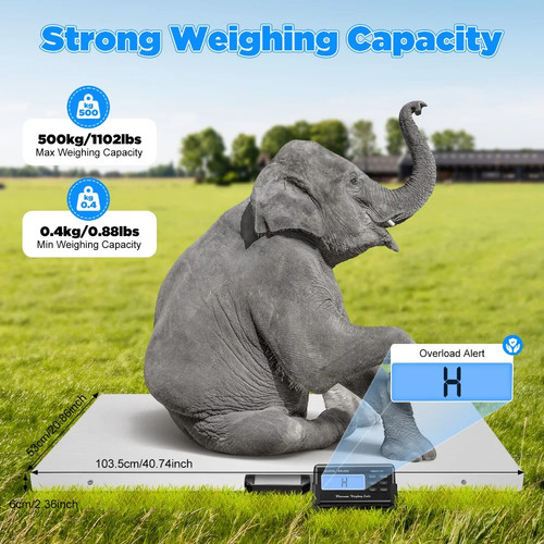 500kg veterinary digital - 500kg,