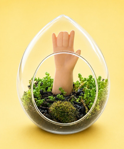 Surreal hand terrarium live - hand,