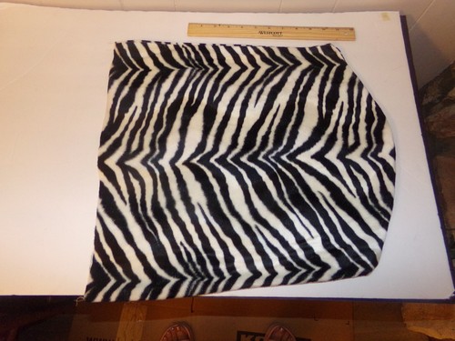 Zebra print chair back - zebra,