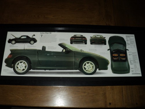 Lotus elan feet wide framed - 3,