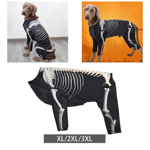 Halloween skeleton dog - skeleton,